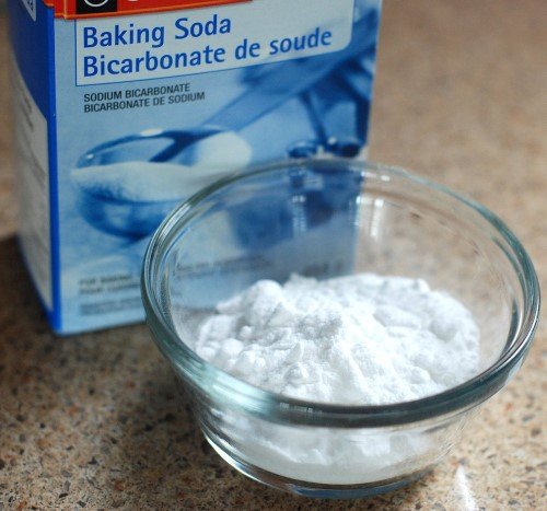 Baking soda to clean dog pee