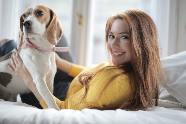 Young lady with beagle dog
